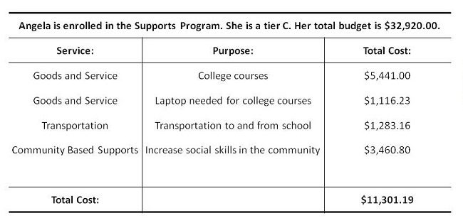 Annual-Budget-Allocation-Example-2