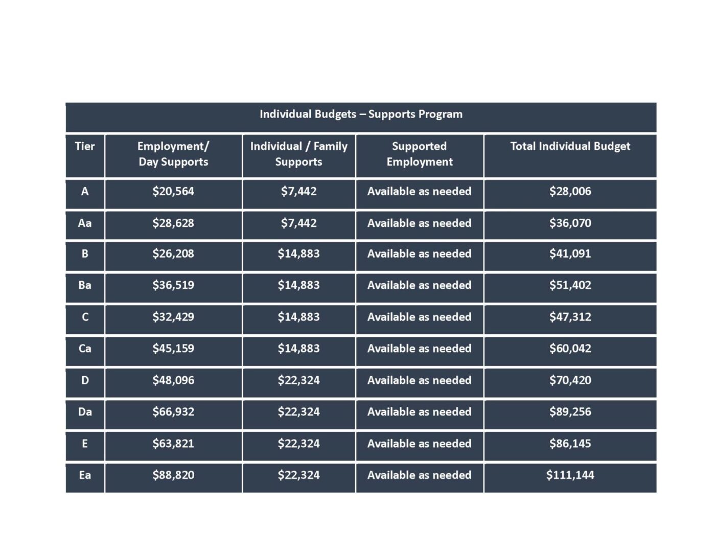 DDD Individual Budgets_Page_1 A table with the top ten most expensive budget for individuals.
